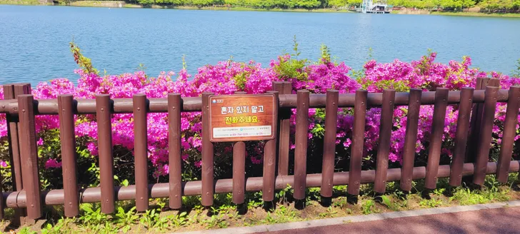 파일포켓 이미지