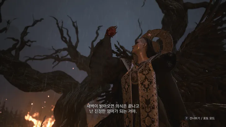 파일포켓 이미지