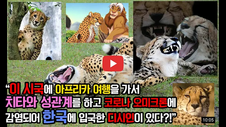 파일포켓 이미지