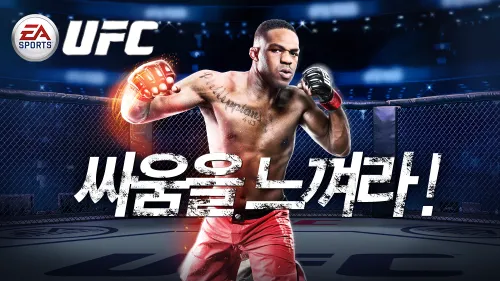 파일포켓 이미지