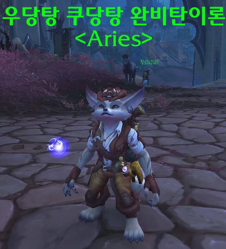 파일포켓 이미지
