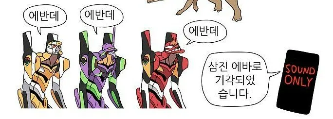 파일포켓 이미지