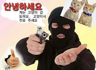 파일포켓 이미지