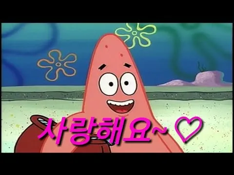 파일포켓 이미지