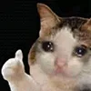파일포켓 이미지