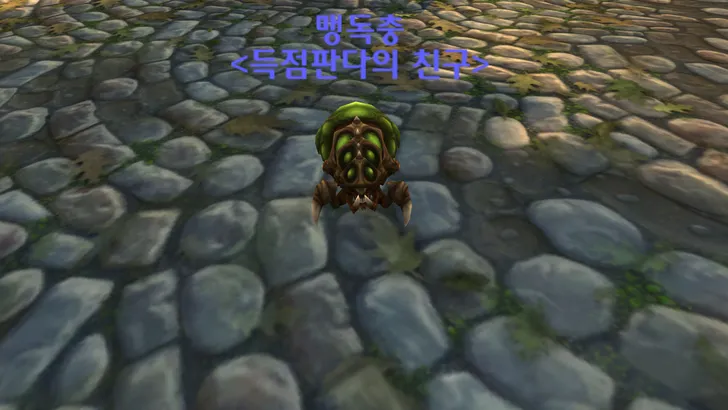 파일포켓 이미지