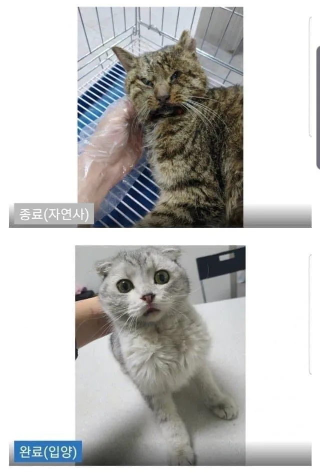 파일포켓 이미지