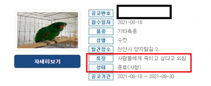 파일포켓 이미지