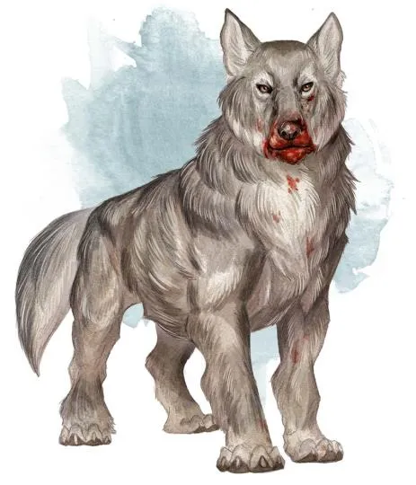 파일포켓 이미지