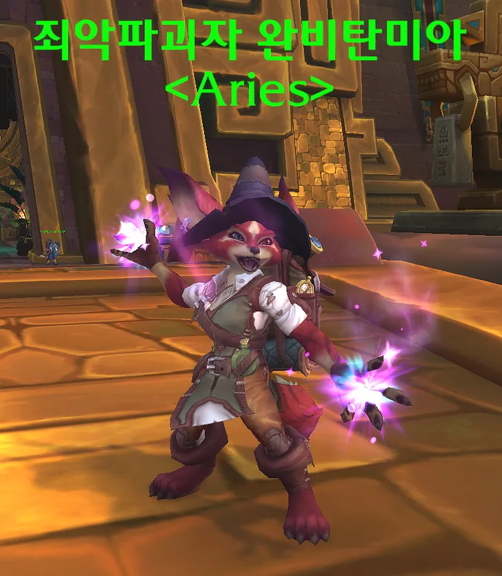 파일포켓 이미지