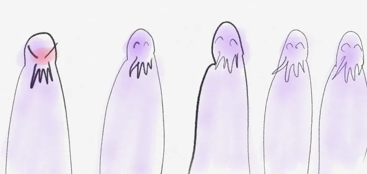 파일포켓 이미지