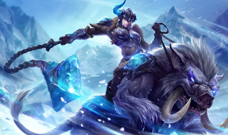 파일포켓 이미지