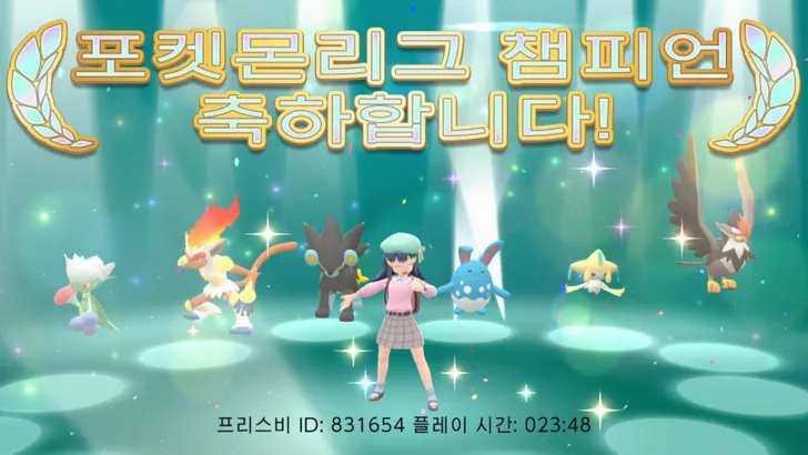 파일포켓 이미지
