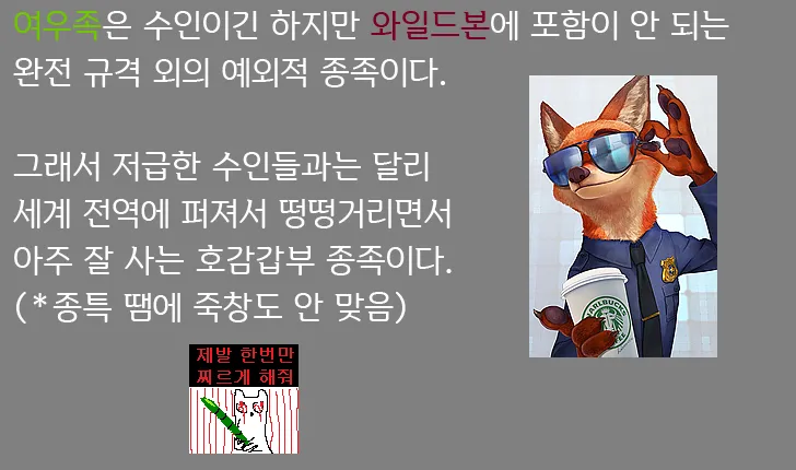 파일포켓 이미지