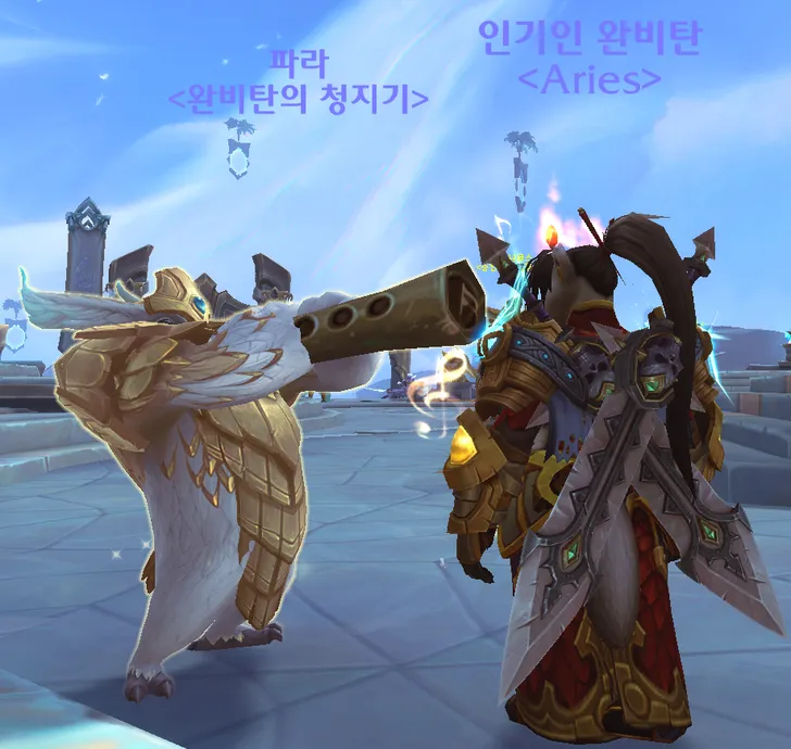 파일포켓 이미지